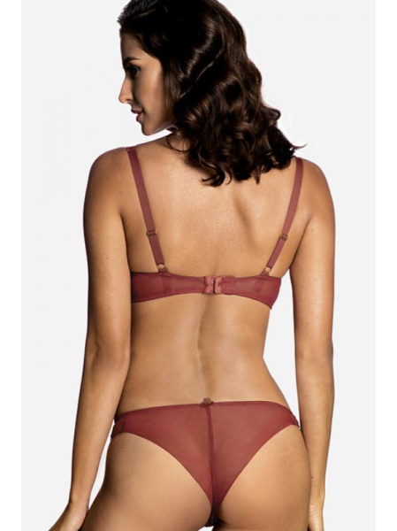Комплект Ewa Bien Isabel - бюстгальтер с мягкой чашкой B103 и бразилианки C322 Терракотовый