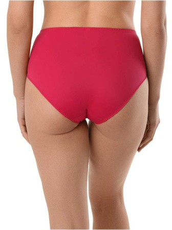 Трусы "слип" CITY STYLE RP0009 || Труси жін. CE CITY STYLE RP0009, р.114, брусниця Трусы "слип" CITY STYLE RP0009 || Труси жін. CE CITY STYLE RP0009, р.114, брусниця