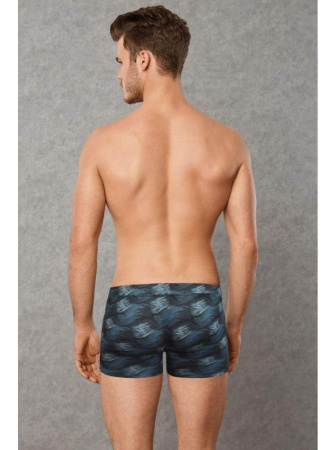 Трусы-боксеры Doreanse Brush арт. 1735, XL, Brush || Трусы-боксеры Doreanse Brush арт. 1735, XL, Brush