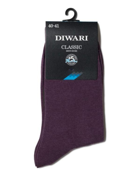 Носки муж. DW CLASSIC 5С-08СП, р.25, 000 баклажан