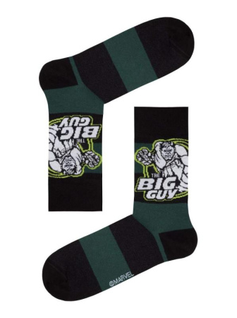 Носки муж. DW MARVEL 17С-140СПМ, р.27, 062 темно-зеленый