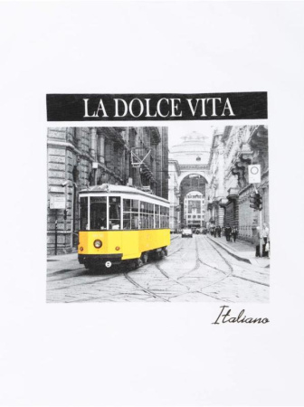Белая хлопковая футболка с принтом &quot;Italia&quot; LD 1112 || Джемпер жін. CE LD 1112, р.170-104, white