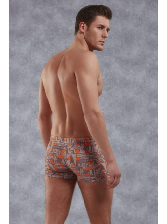 Трусы-боксеры Doreanse Sports арт. 1895, S, Sports || Трусы-боксеры Doreanse Sports арт. 1895, S, Sports