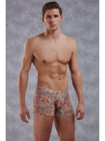 Трусы-боксеры Doreanse Sports арт. 1895, S, Sports