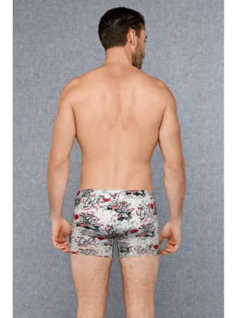 Трусы-боксеры Doreanse Doberman арт. 1808, 2XL, Doberman || Трусы-боксеры Doreanse Doberman арт. 1808, 2XL, Doberman