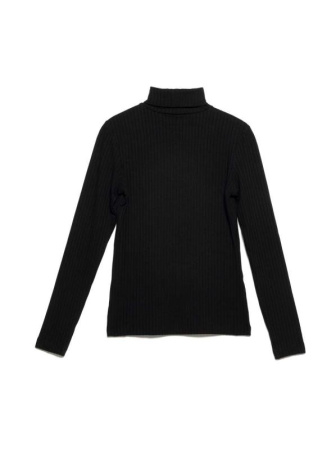 Классическая водолазка в рубчик из вискозы премиального качества LD 1028 || Джемпер жін. CE LD 1028, р.170-100, black