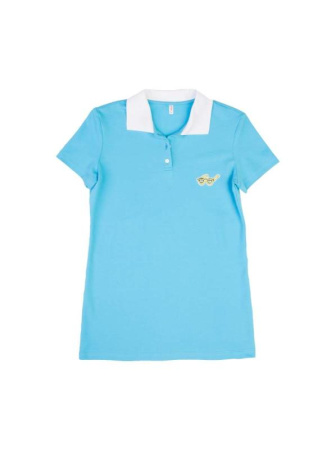Футболка-поло с вышивкой LD 729 || ВТЖ Джемпер жін. CE LD 729, р.170-96, блакитний