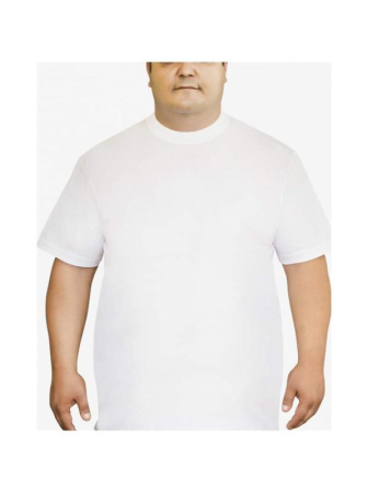 Мужская футболка Oztas A-1038 батал, 5XL, Белый