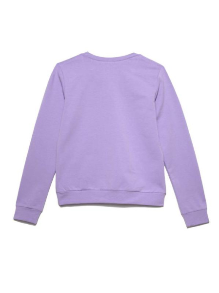 Ультракомфортный свитшот с металлическим принтом LD 900